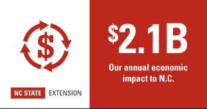 image Extension's annual economic impact